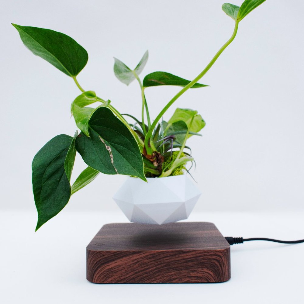 Levitating Floating Plant Pot Air Plant Holder